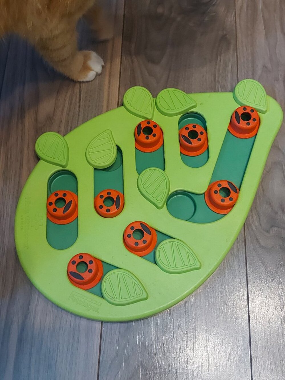 Catstages Nina Ottosson Buggin Out Puzzle Cat Toy
